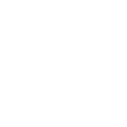 Codex App Studio